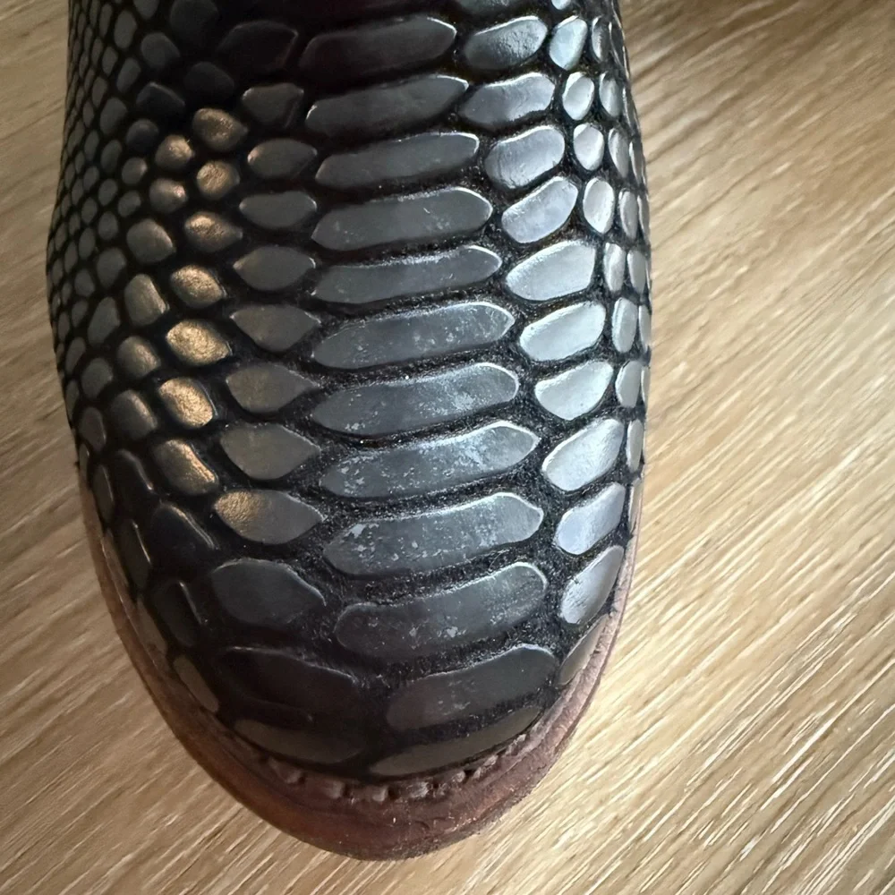 Freebird Coal black Snake - Picture 7 of 9